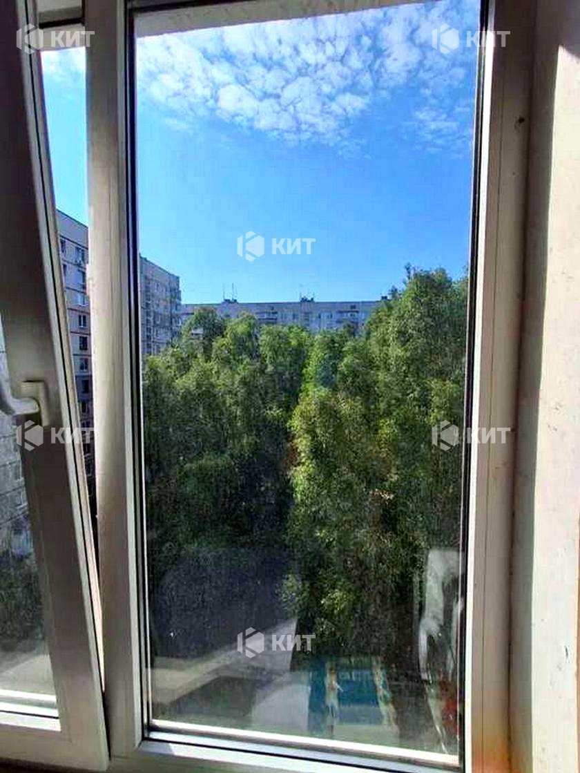 1871583584249566