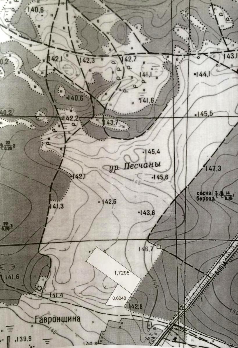 1871606282804308