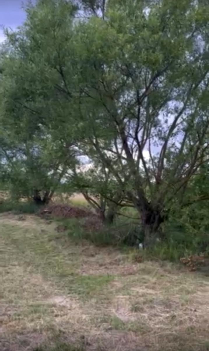 1871610284063603