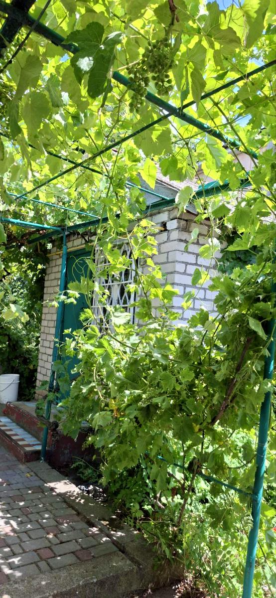 Дом по адресу ул. Зеленая Балка (площадь 60 м²) Дом по адресу ул. Зеленая Балка (площадь 60 м²) - Atlanta.ua
