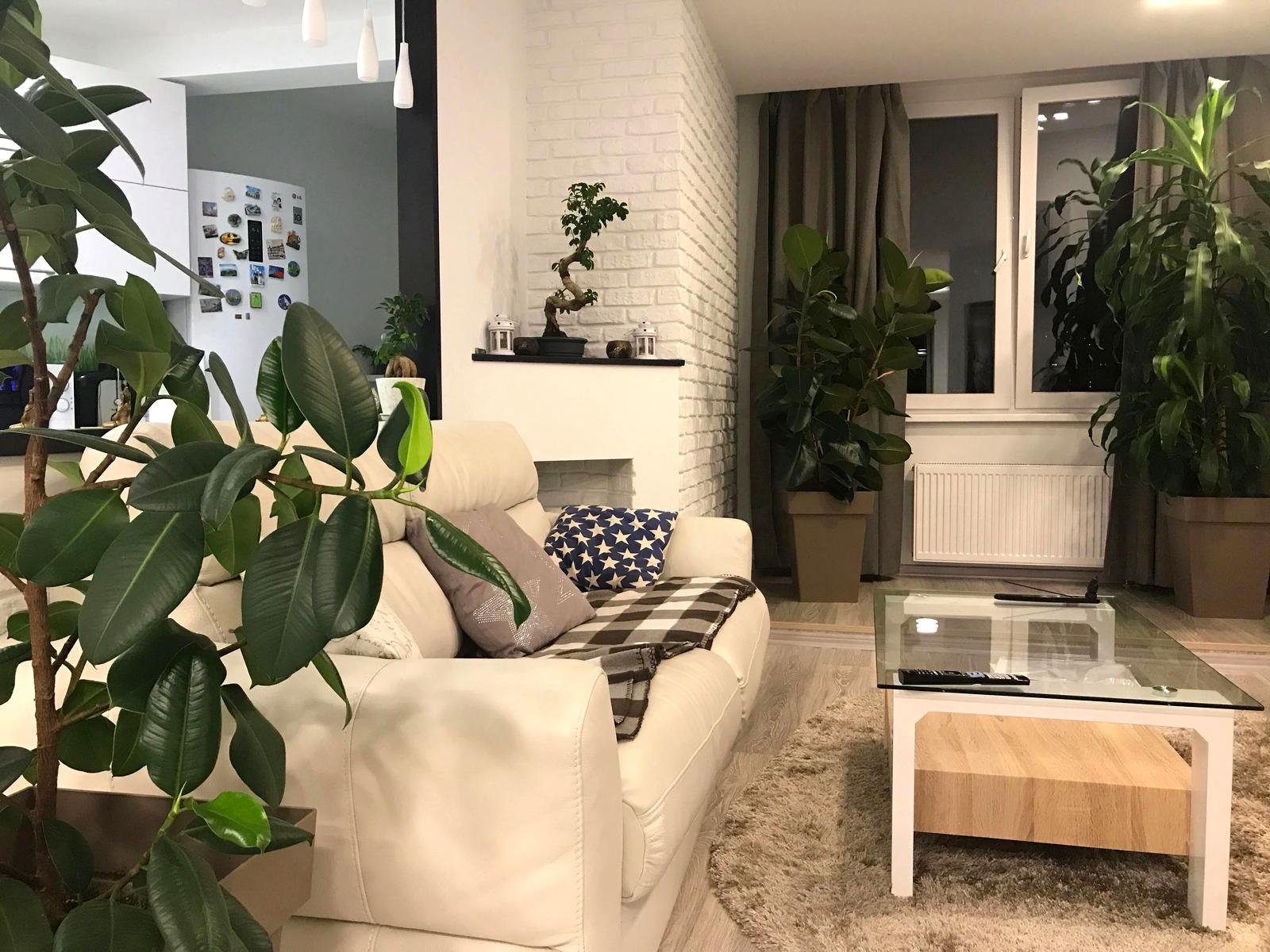 1871622668321512