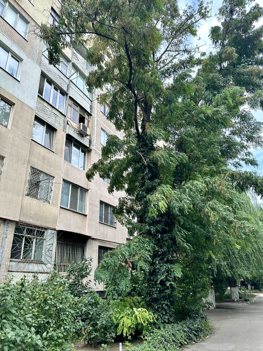 1-кімнатна квартира за адресою (площа 34,7 м²) - фото 17 1-кімнатна квартира за адресою (площа 34,7 м²) - Atlanta.ua - фото 17