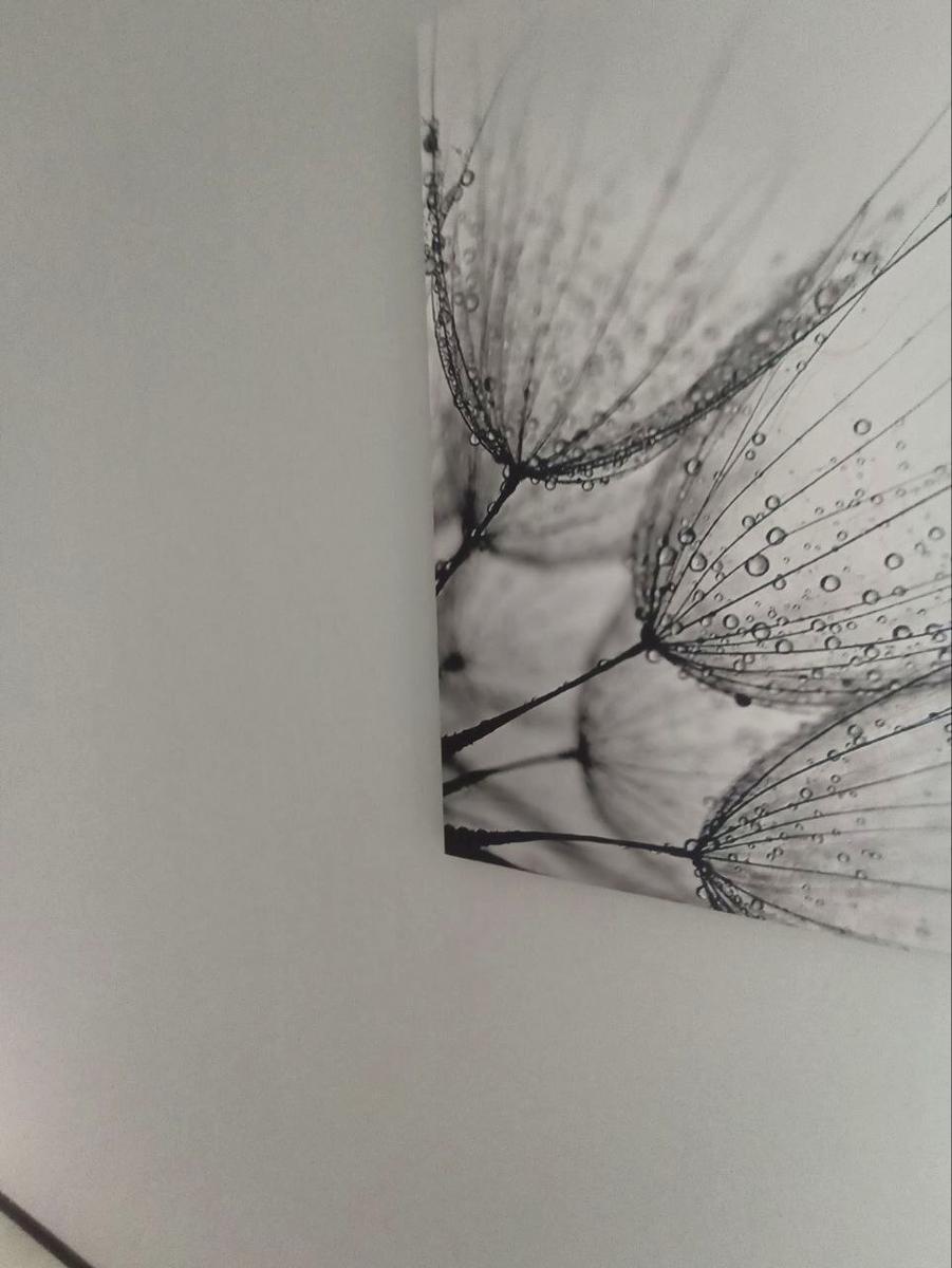 1871958188341671