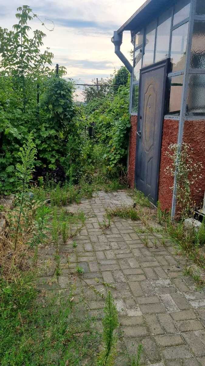 1871967949244626