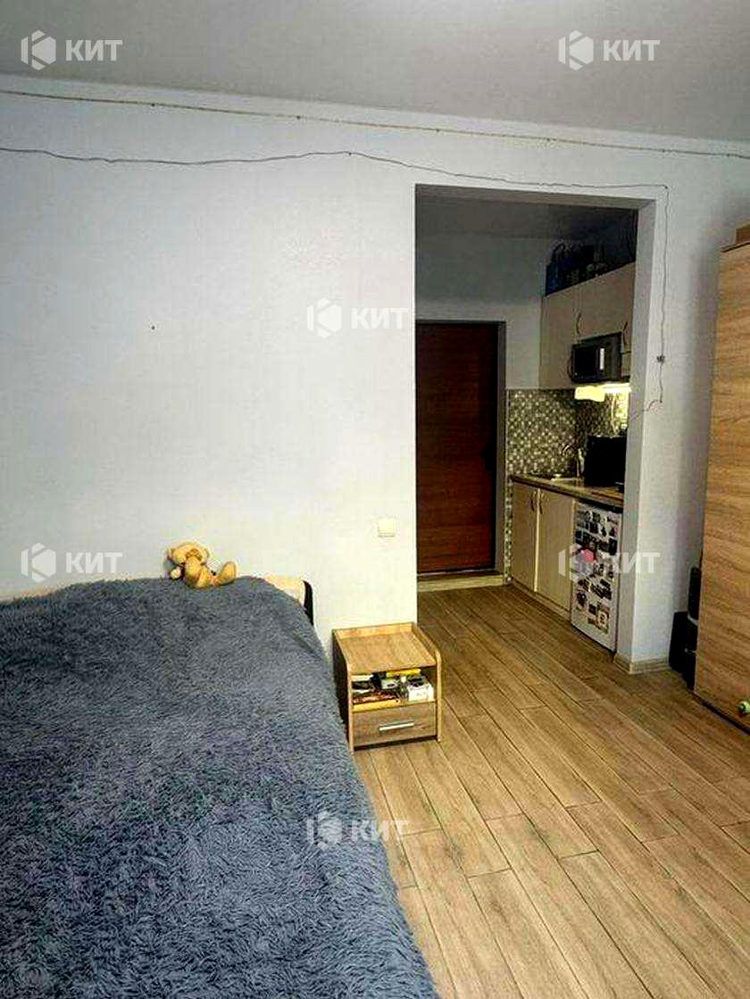 1872031562463964