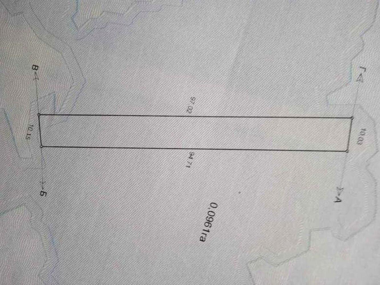 1872158261038340.jpg