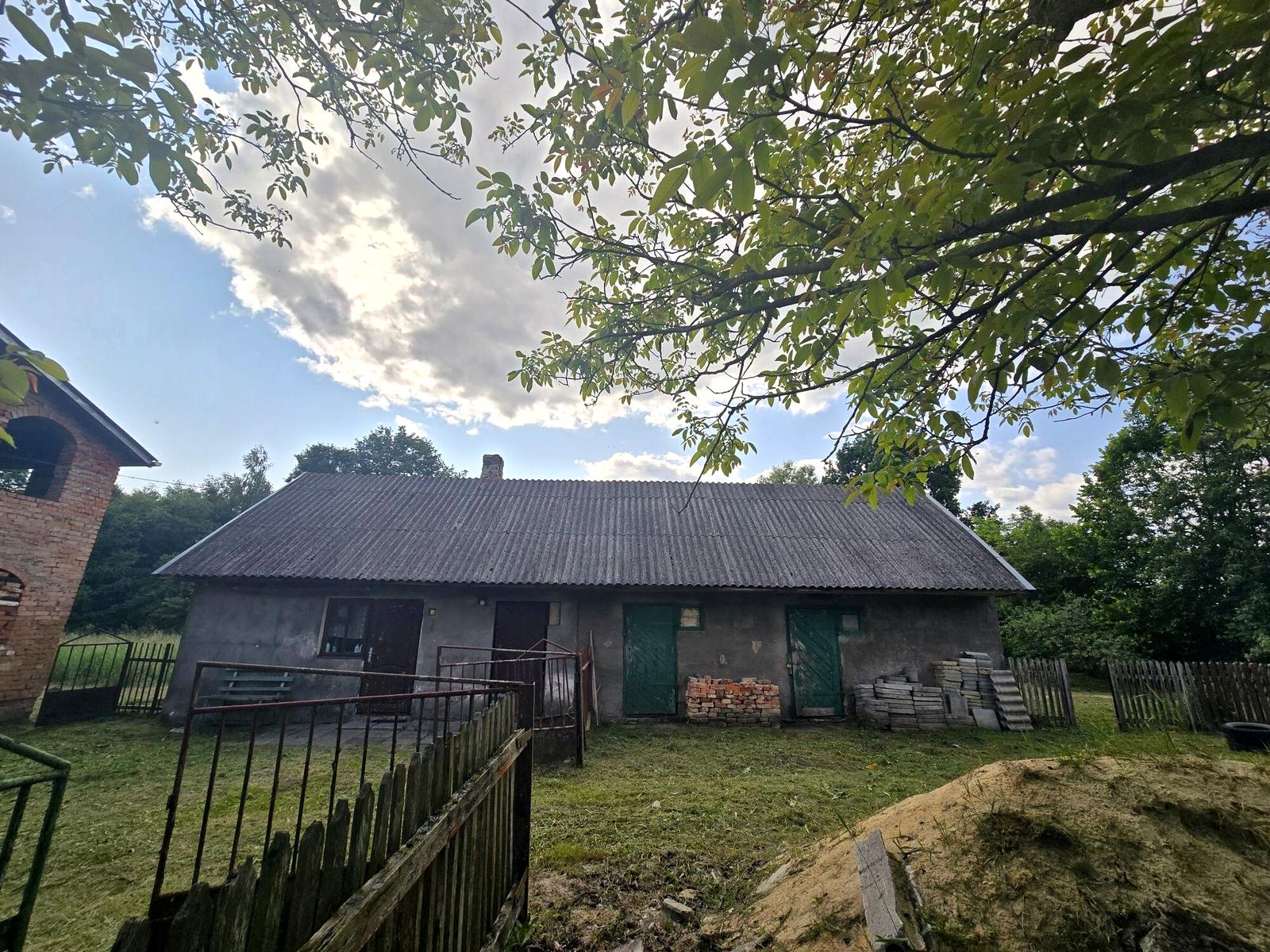 1872159498672043.jpg