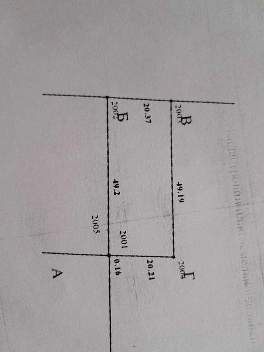 1872160631057282.jpg