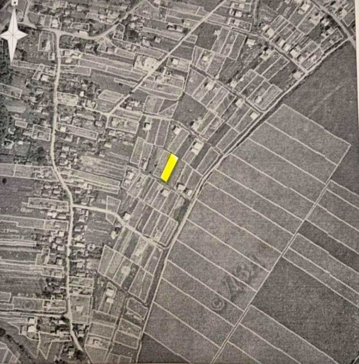 1872216594397589.jpg