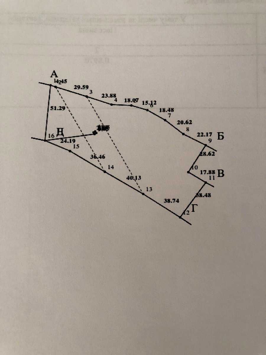 1872221909175335.jpg