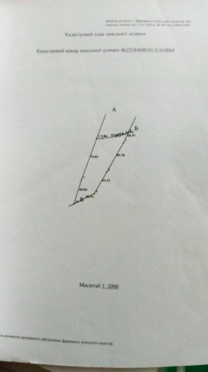 1872222656785377.jpg