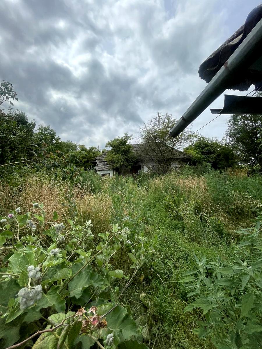 1872228249708032