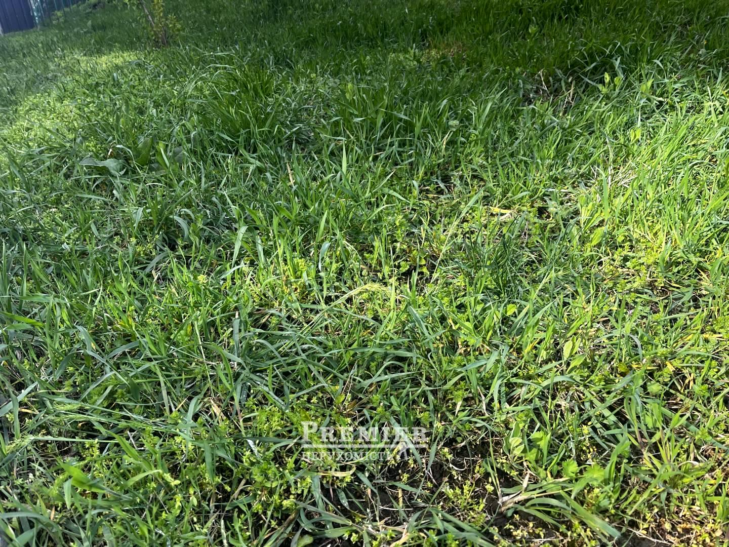 1872237568571943