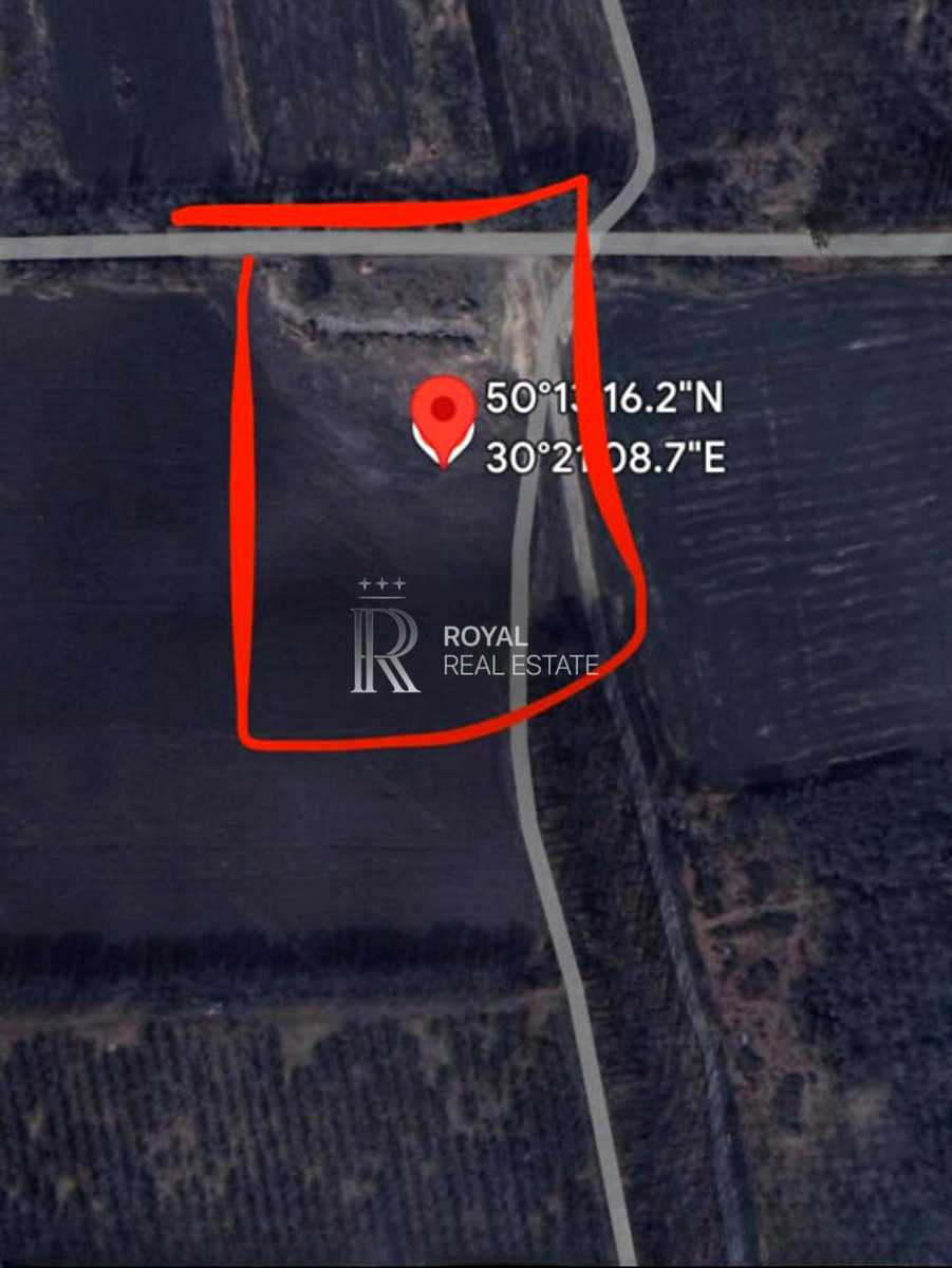 1872251263933154