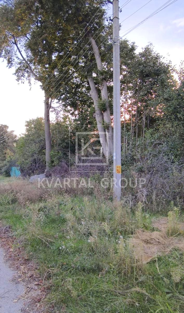 1872251490193839