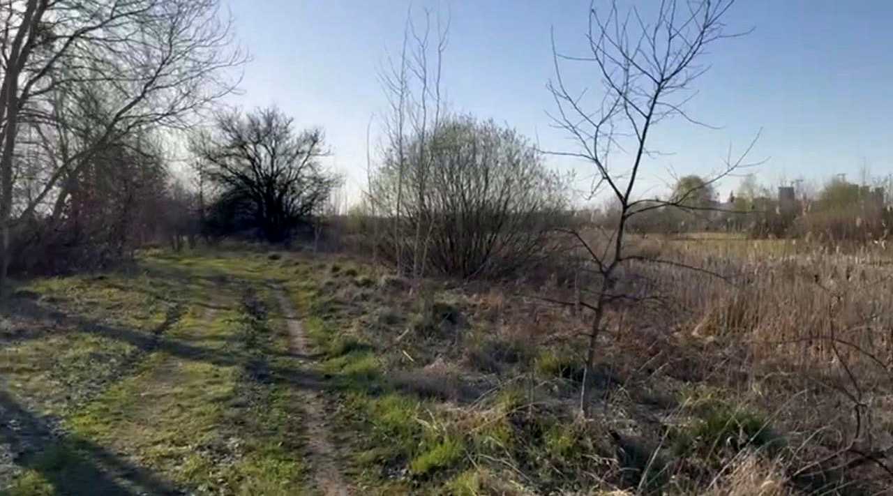 1872261969428878
