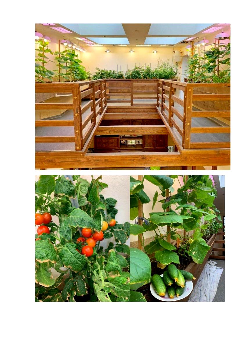 1872318932546233