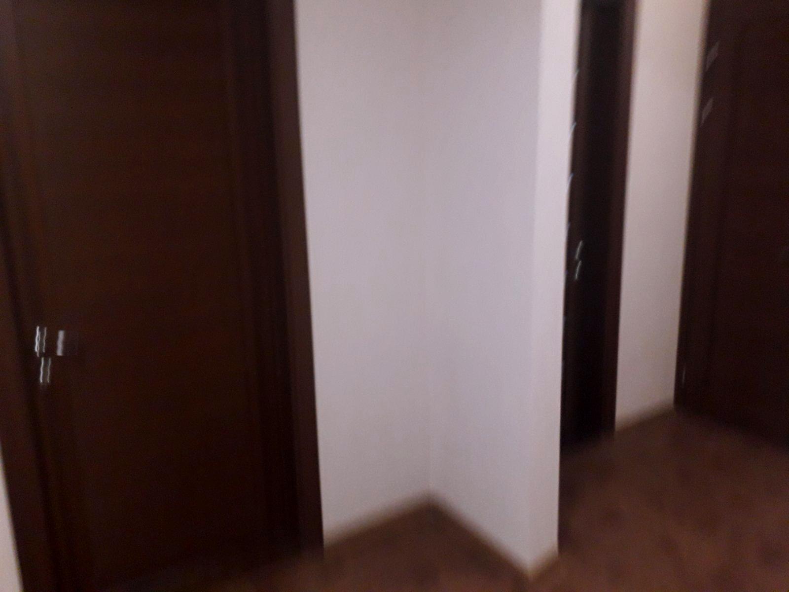 1872484049373228