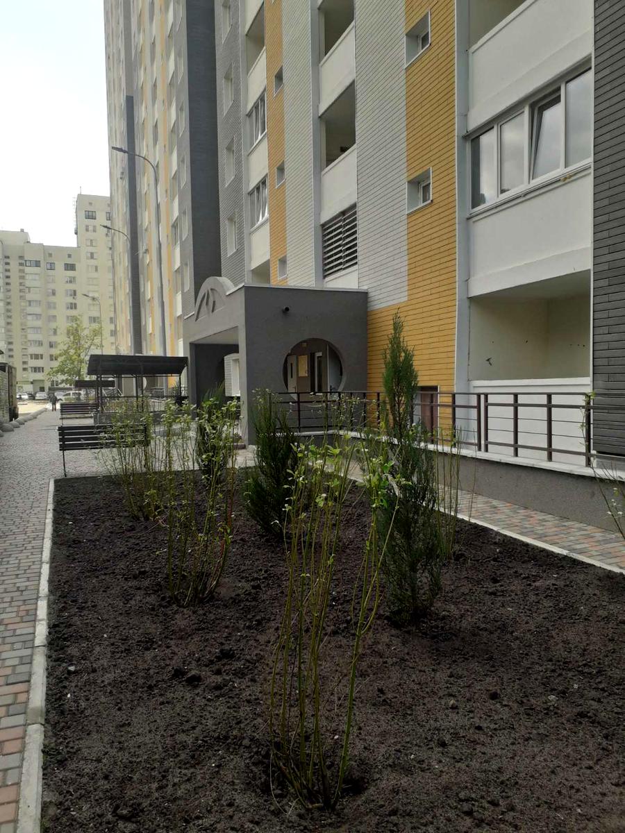 1872484049807258
