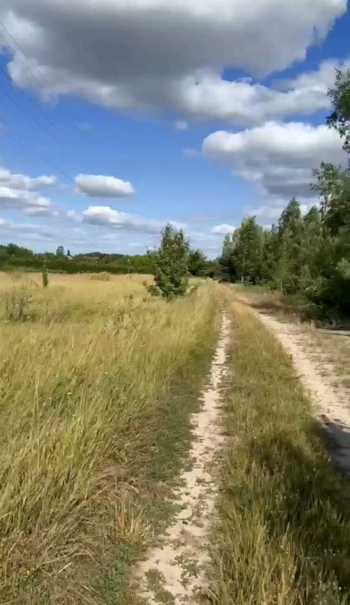 1872494233247977