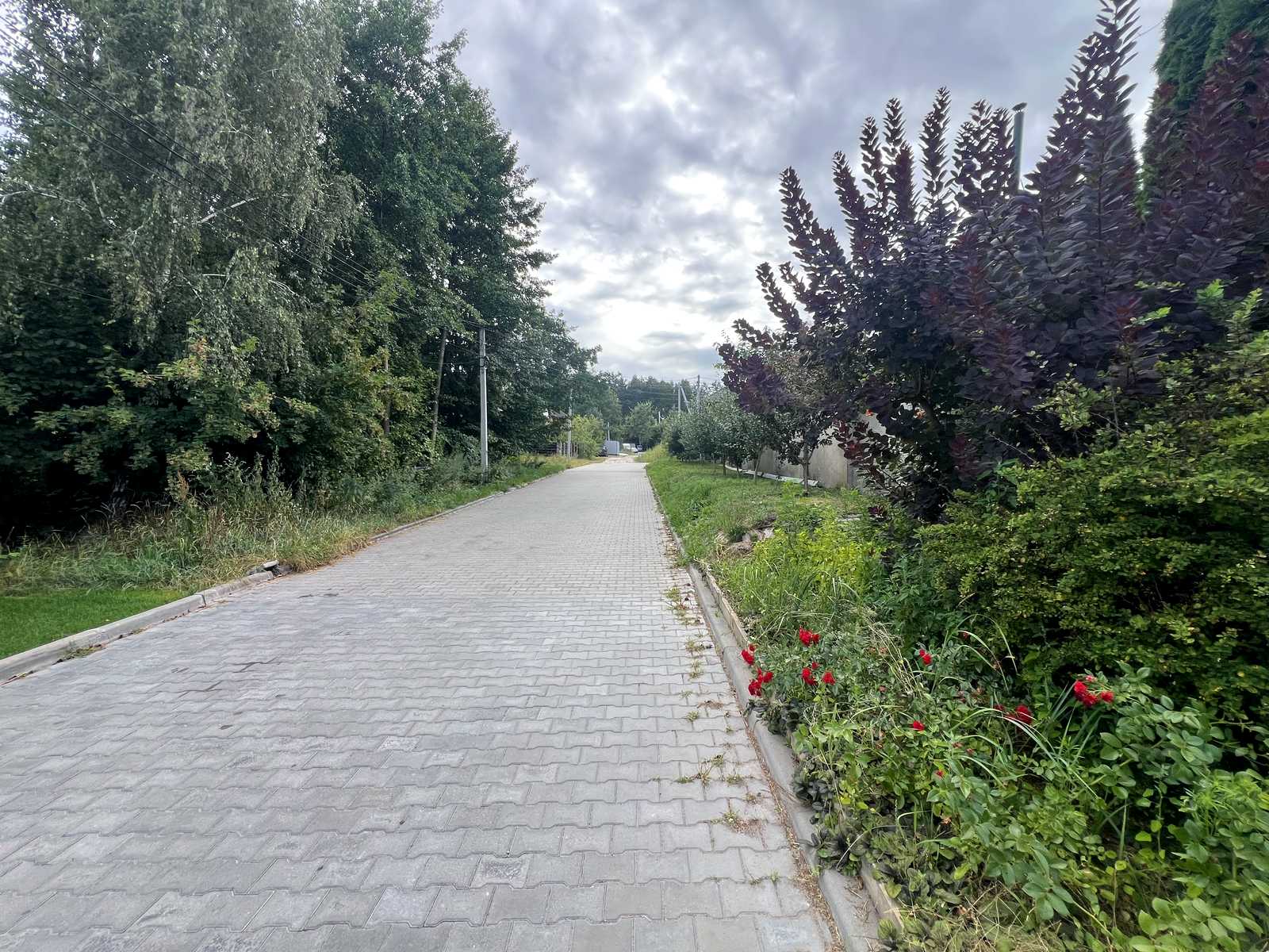 1872511187607005