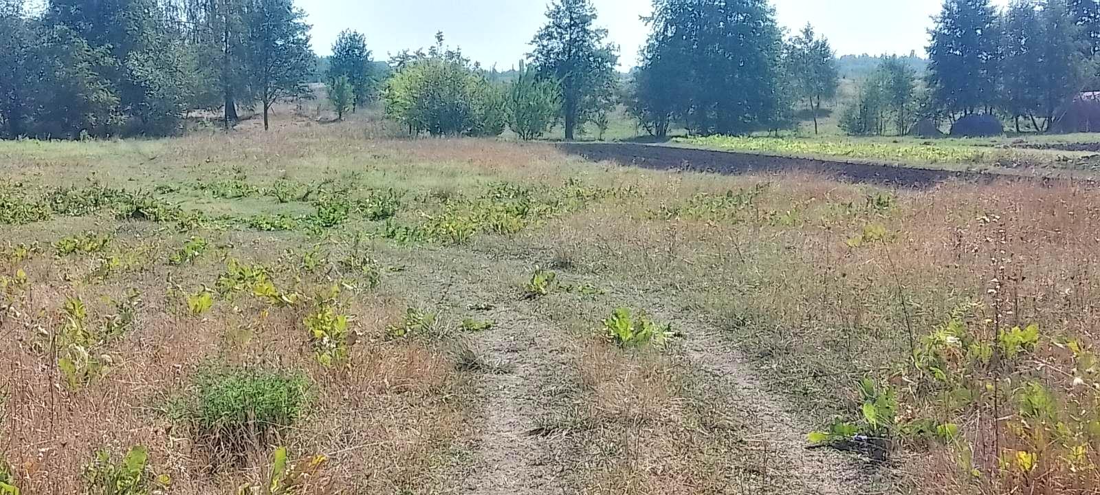 1872582816063962