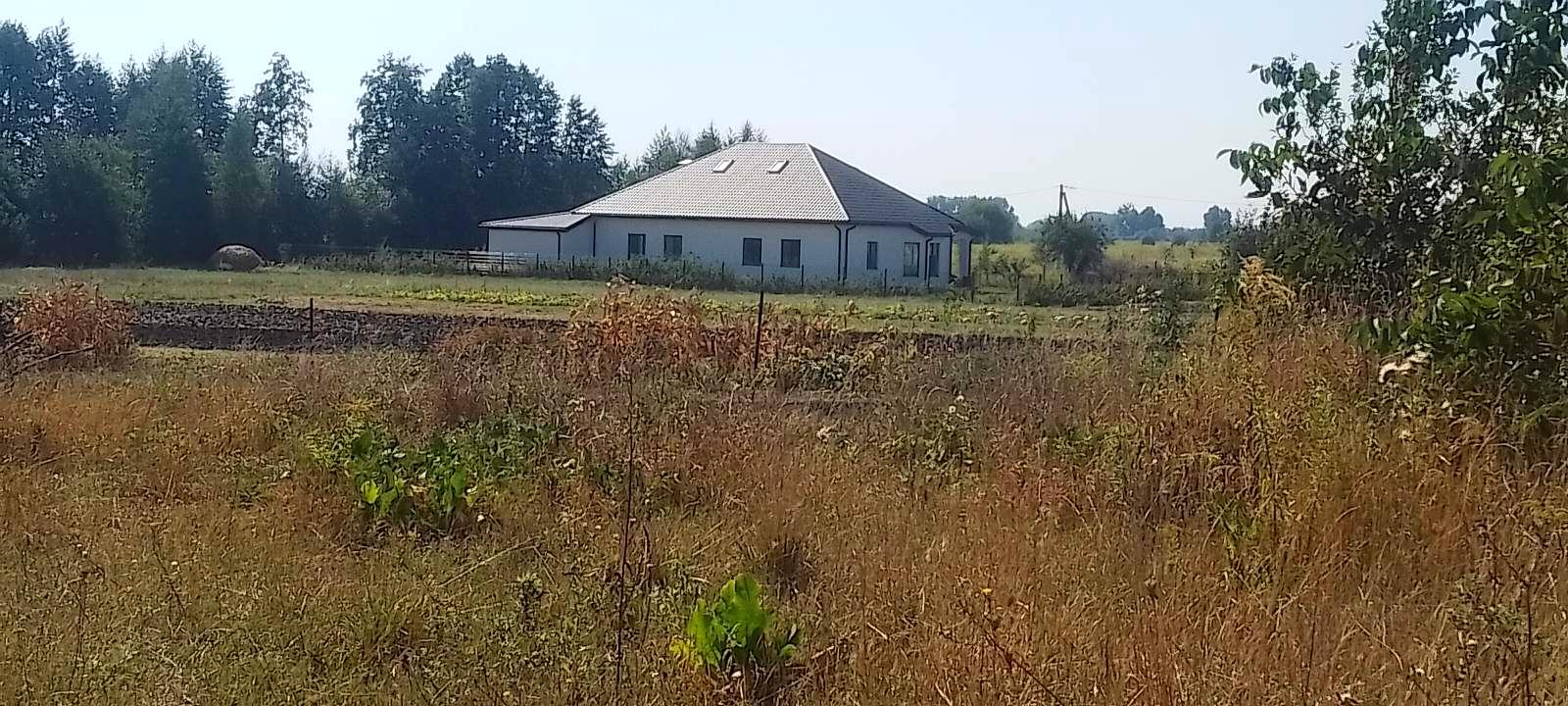 1872582816074941