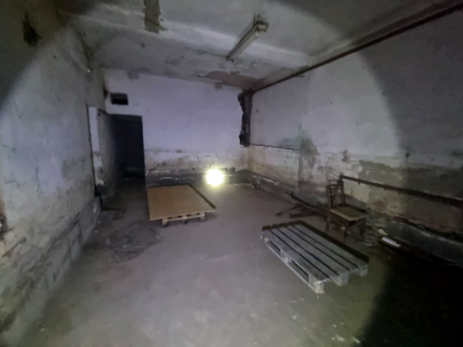 1872597157539294