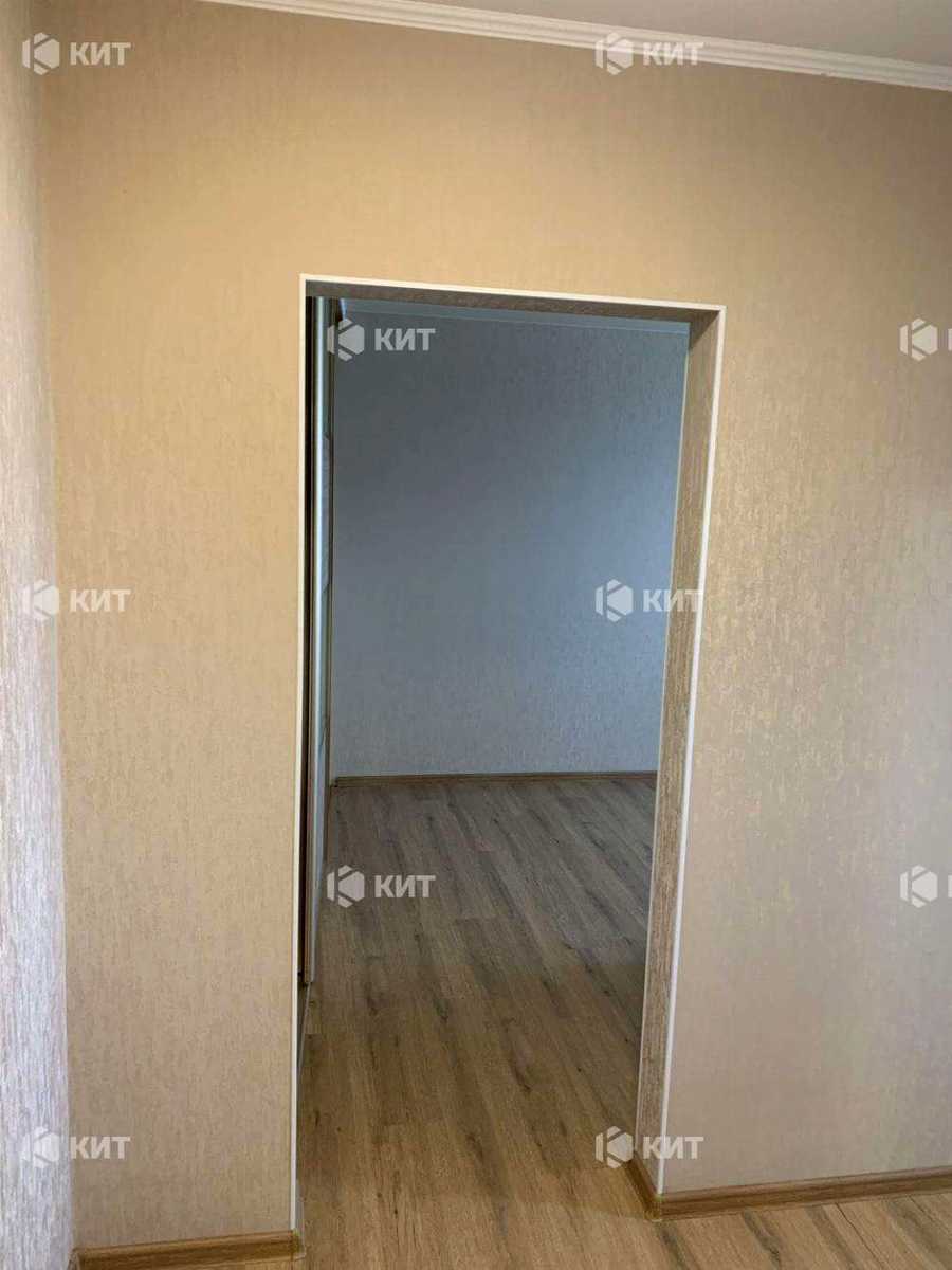 1872600020382558