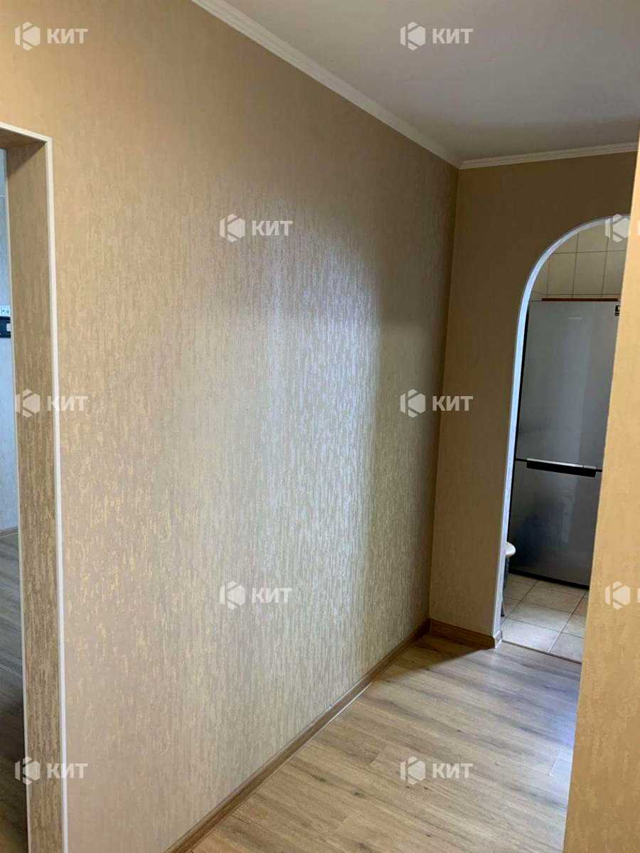 1872600020692945