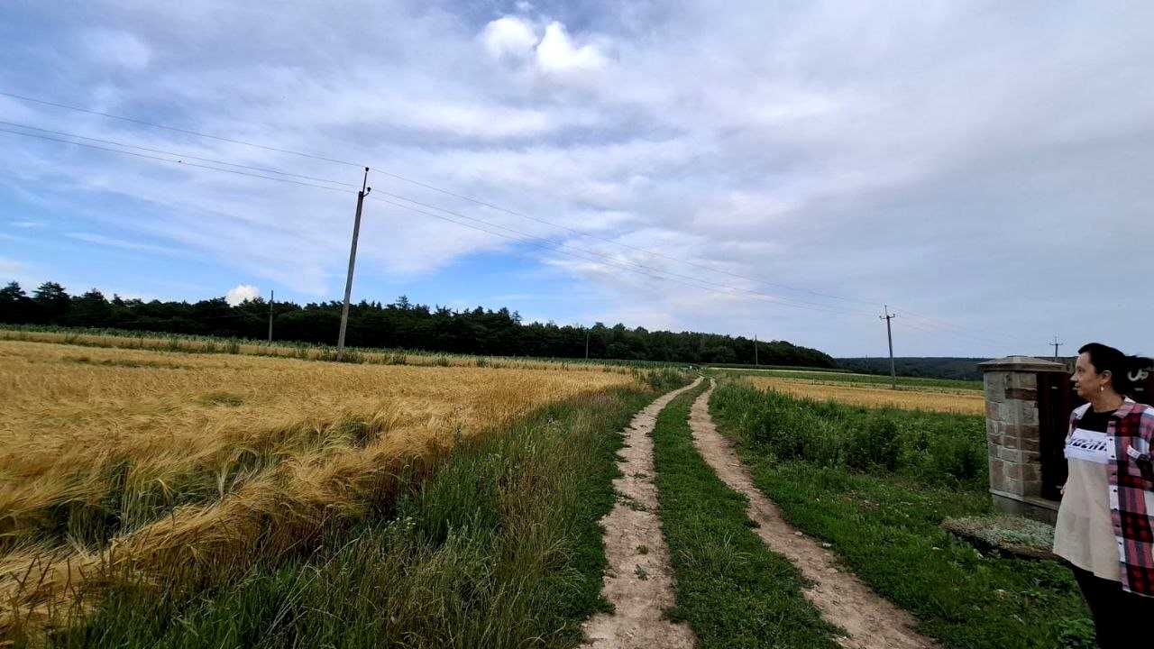 1872606786306461
