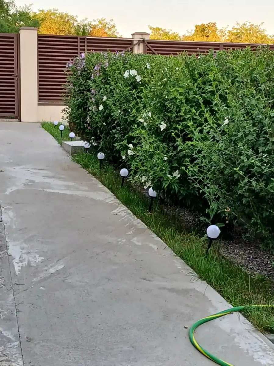 1872661870861485