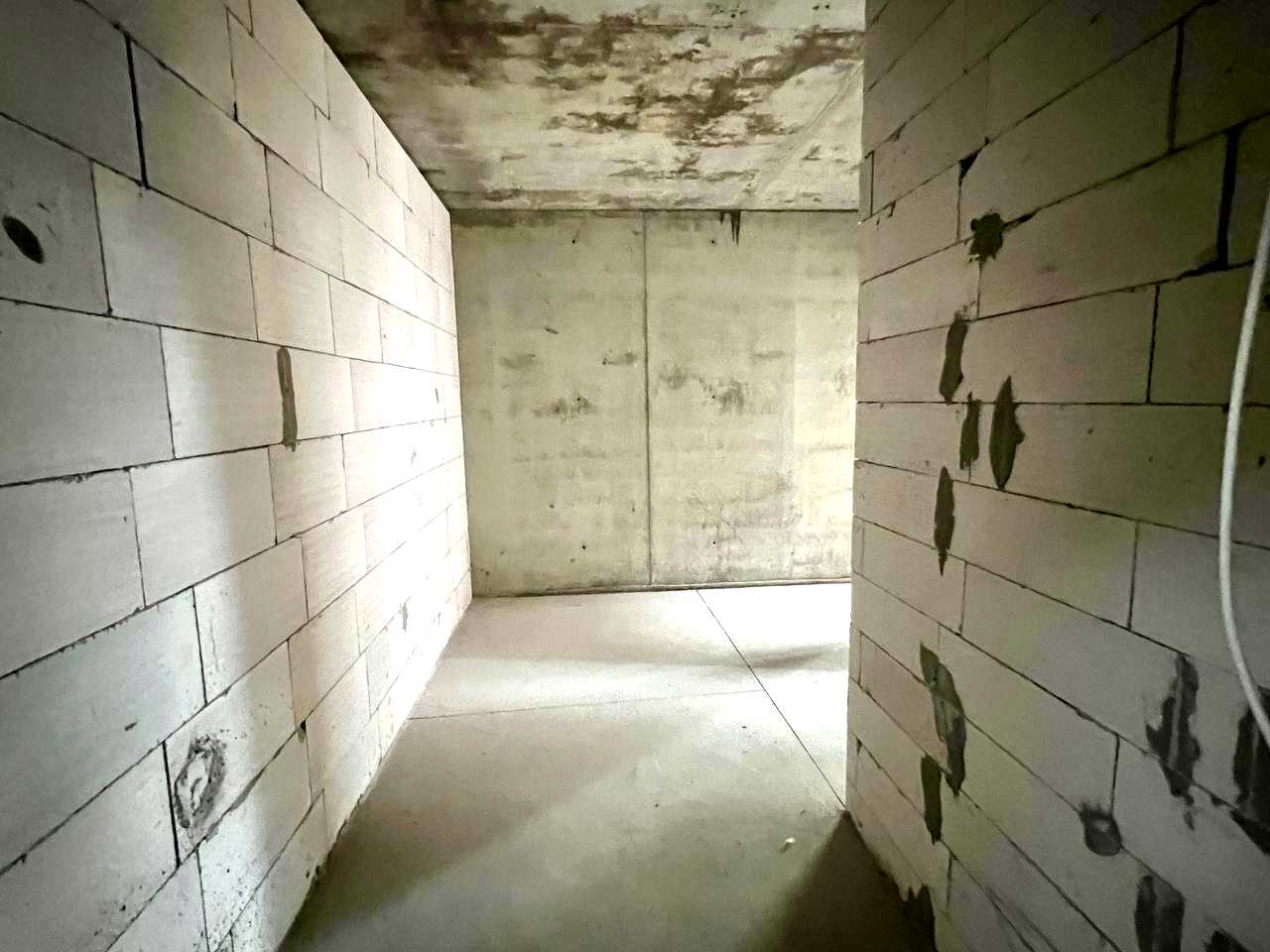 1872674052491486