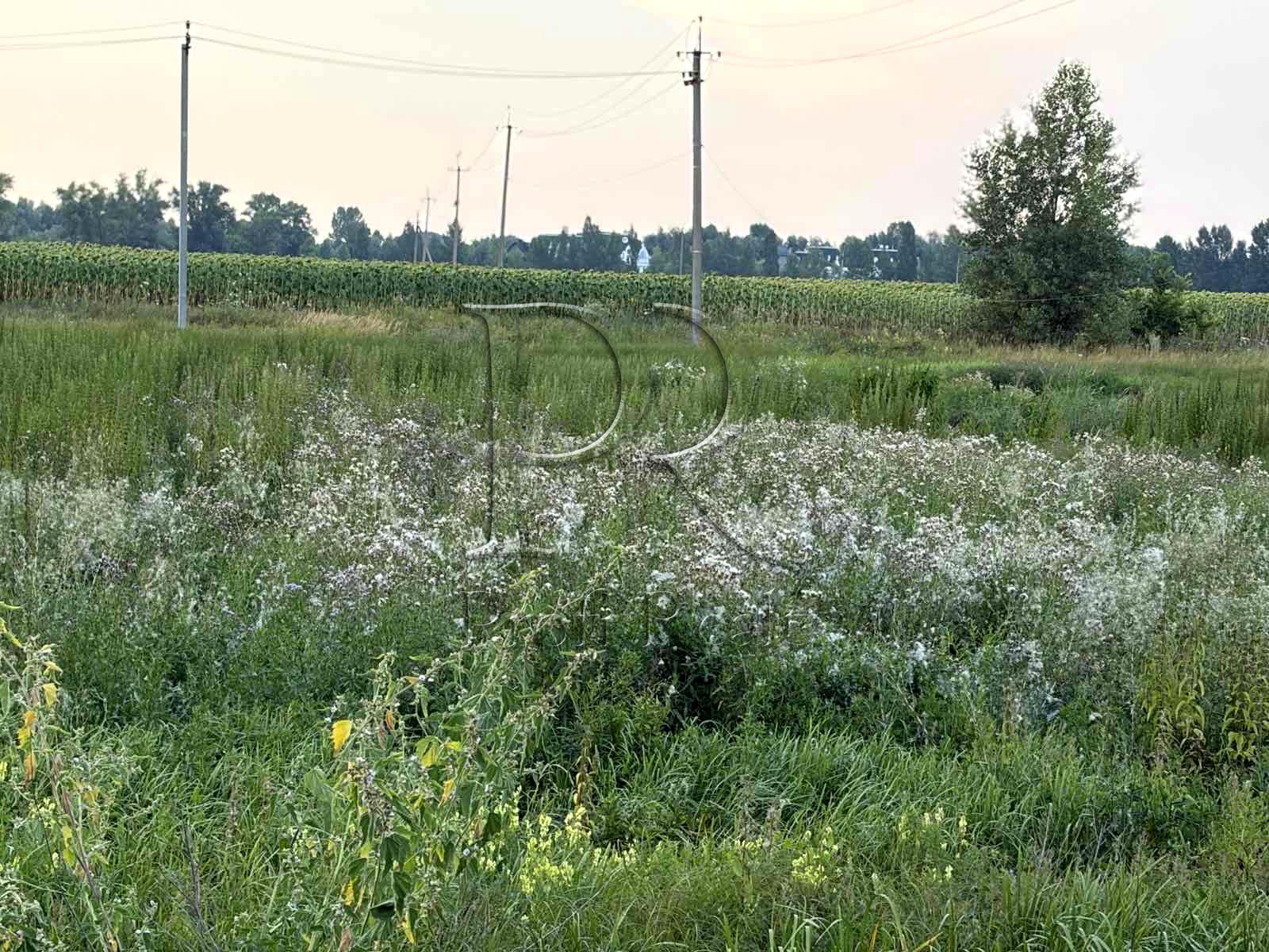 1872676839489266