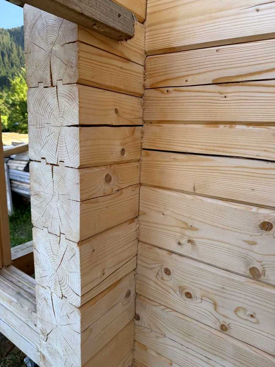 1872692216601204