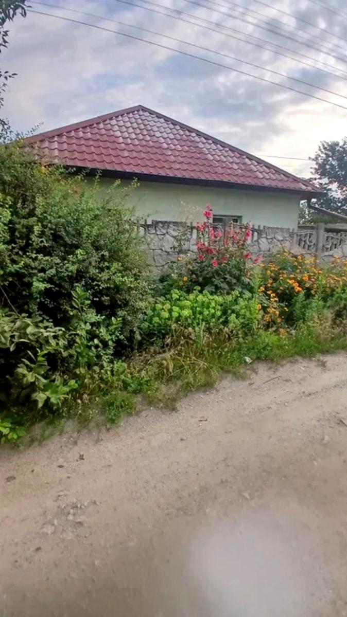 1872748094199068