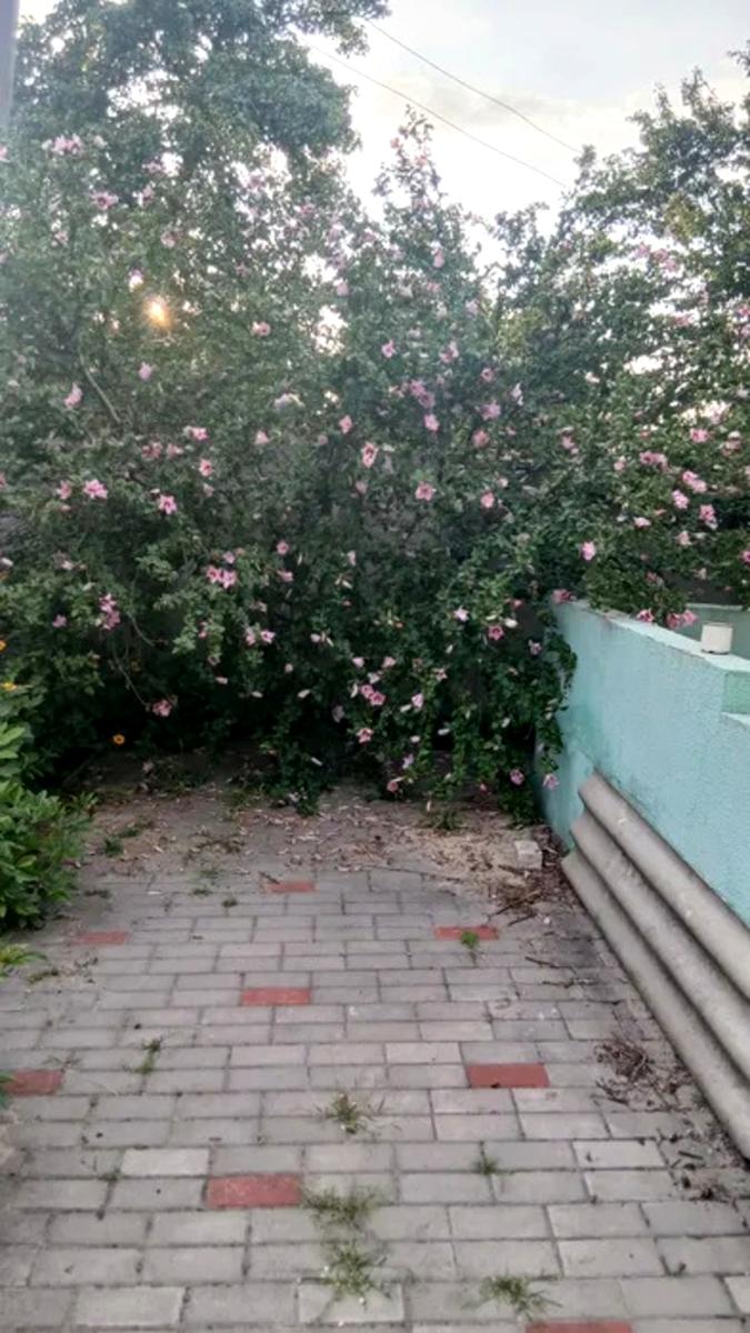 1872748096102992