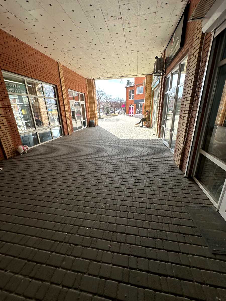 1872762838055981