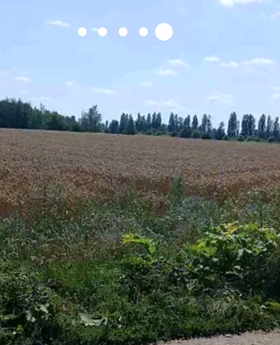 1872765762850163