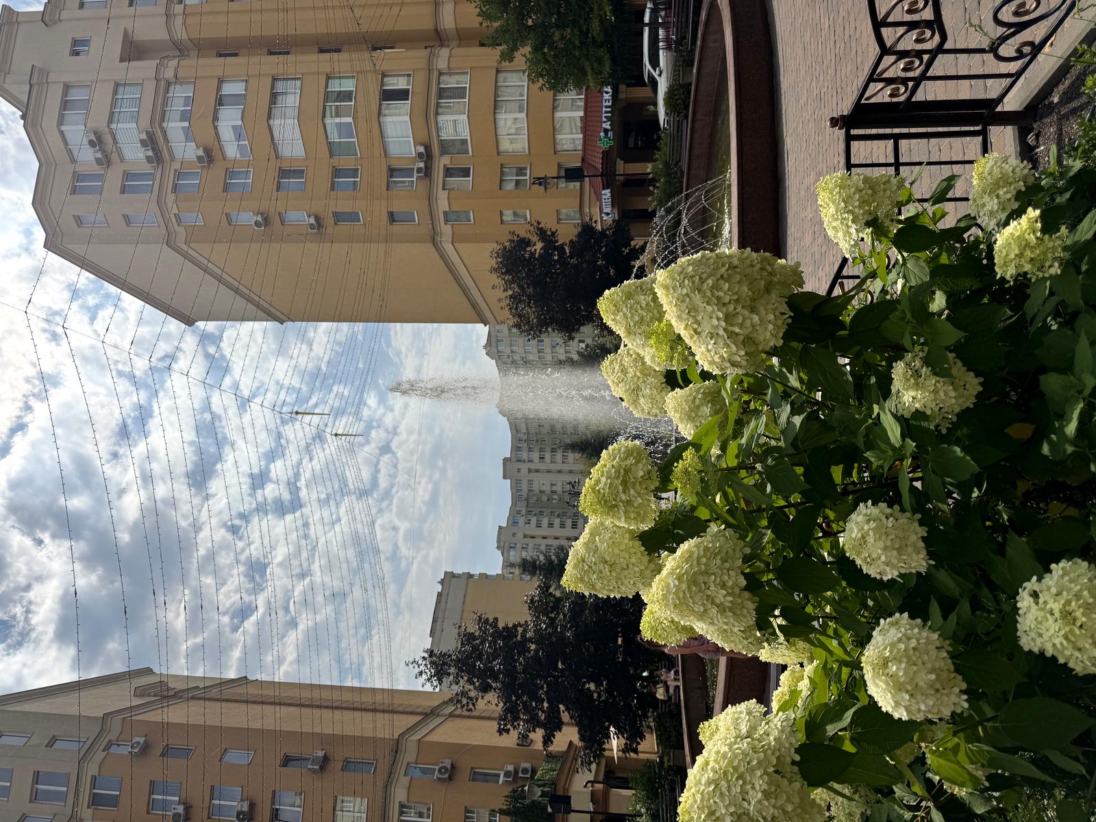 1872778092348692