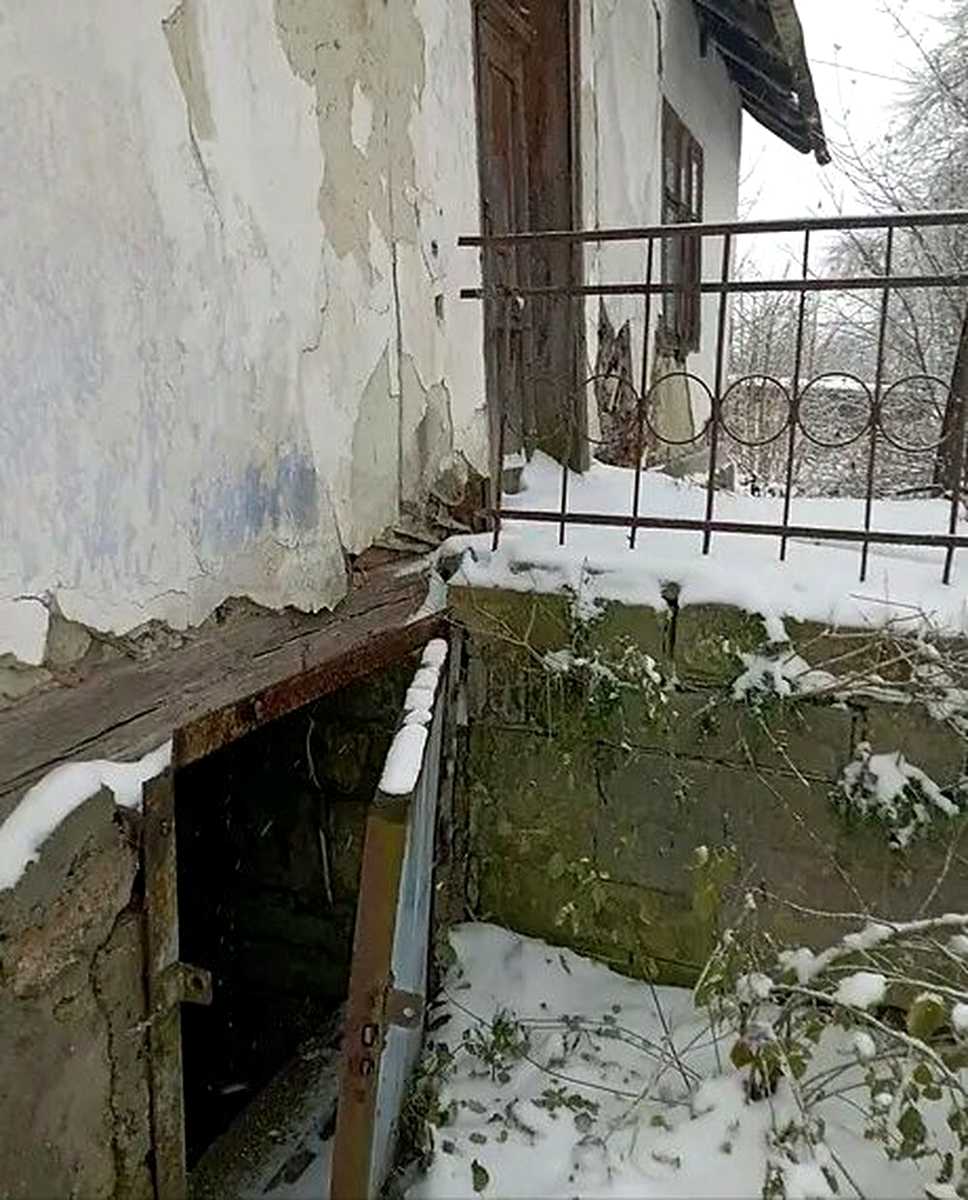 1872853818045545.jpg