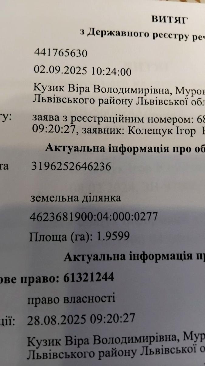 1872854267488238.jpg