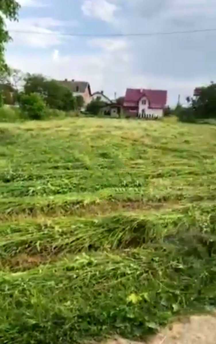 1872864095246976.jpg