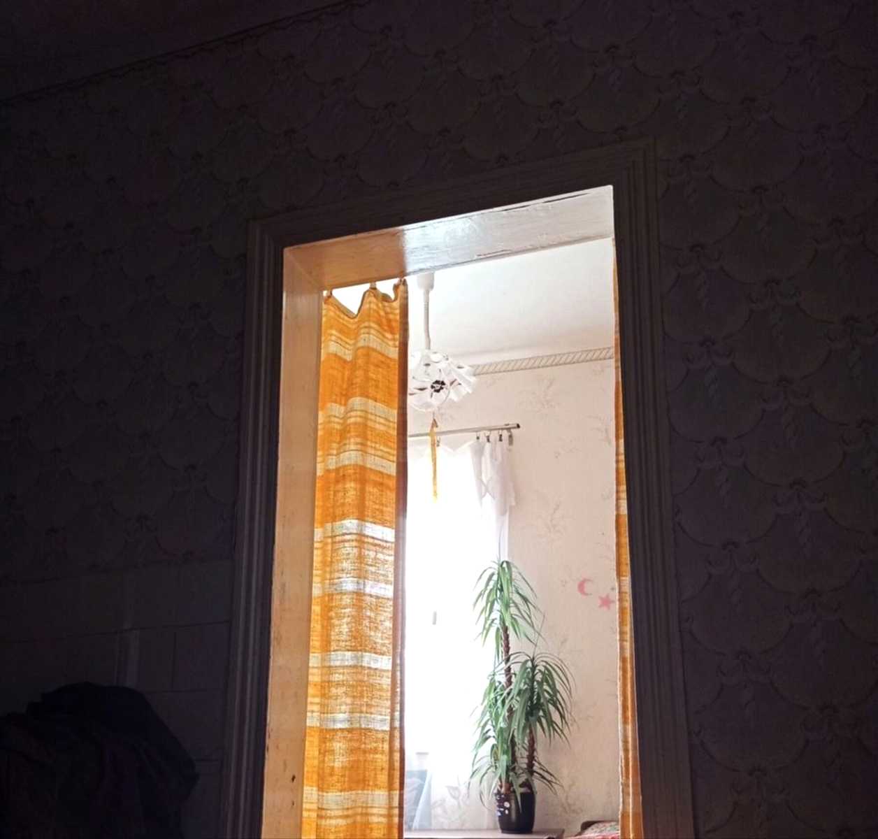 1872869263875609