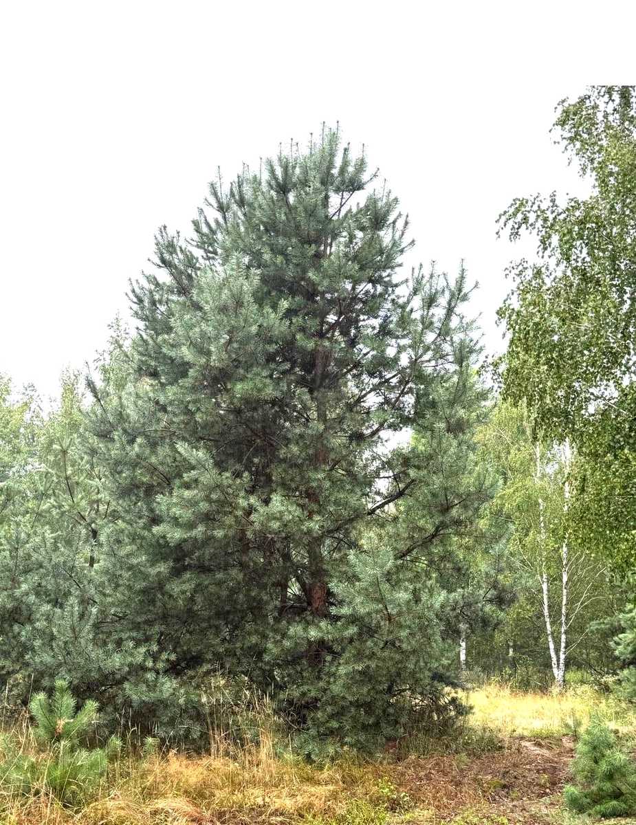 1872885833422549