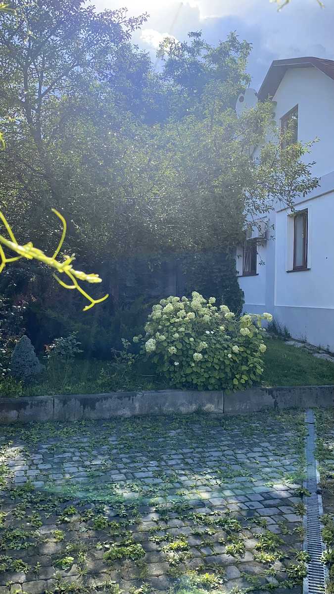 1872936149743257