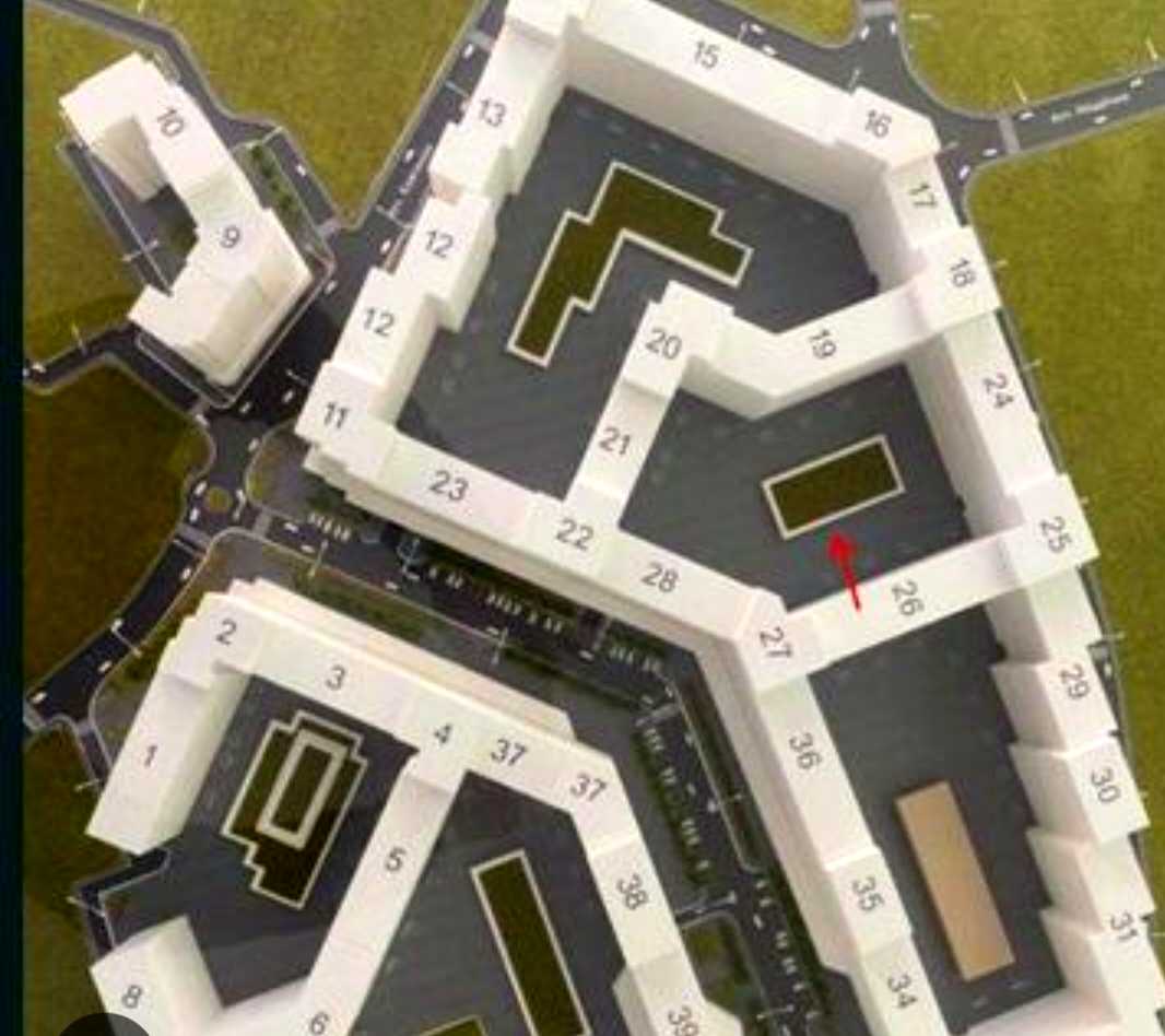 1872955974416659