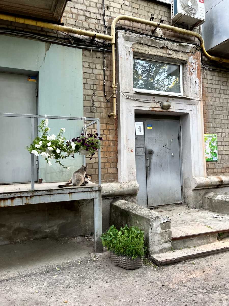 1873126163452779