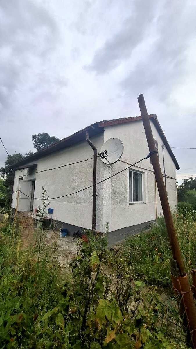 1873129473798567.jpg