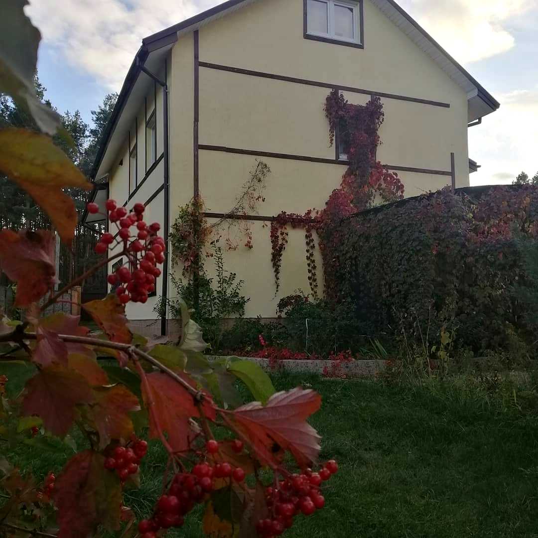 1873141271098646
